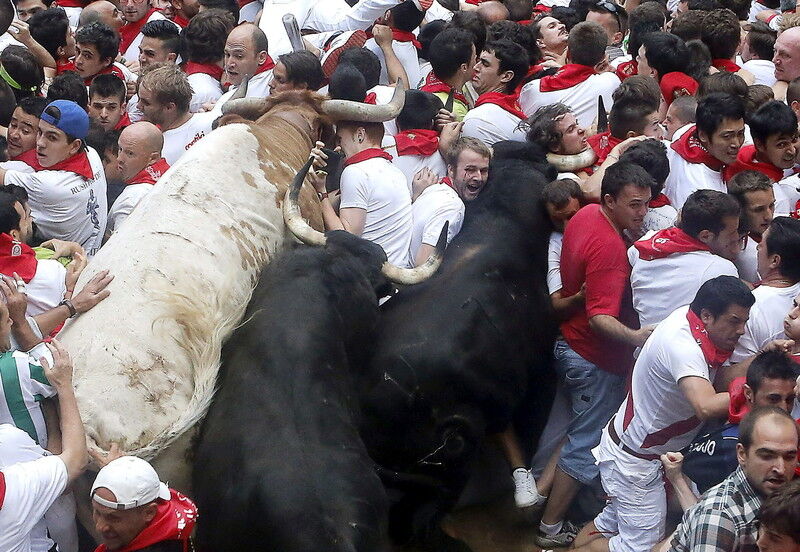 В Испании после забега быков в больницы попали десятки человек