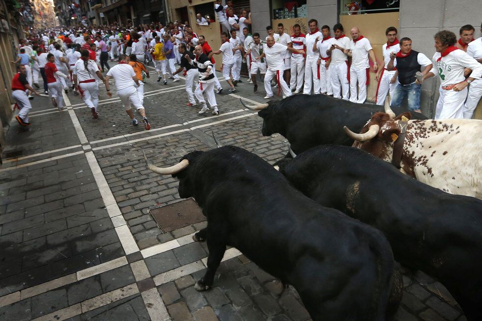Щорічний забіг з биками в Іспанії