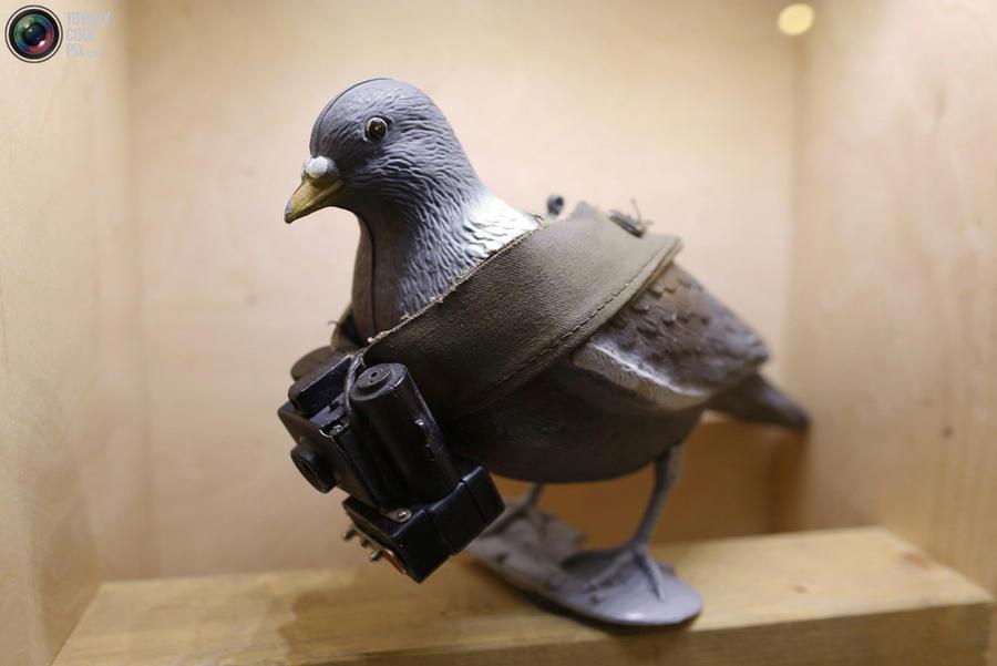 Туристов приглашают посетить музей шпионажа