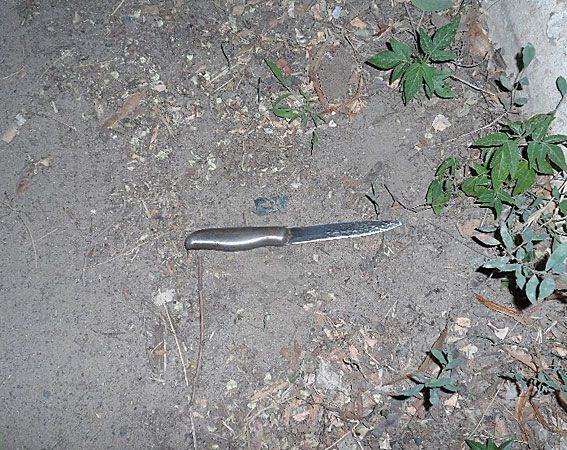На Одещині дівчина з ножем накинулася на міліціонера