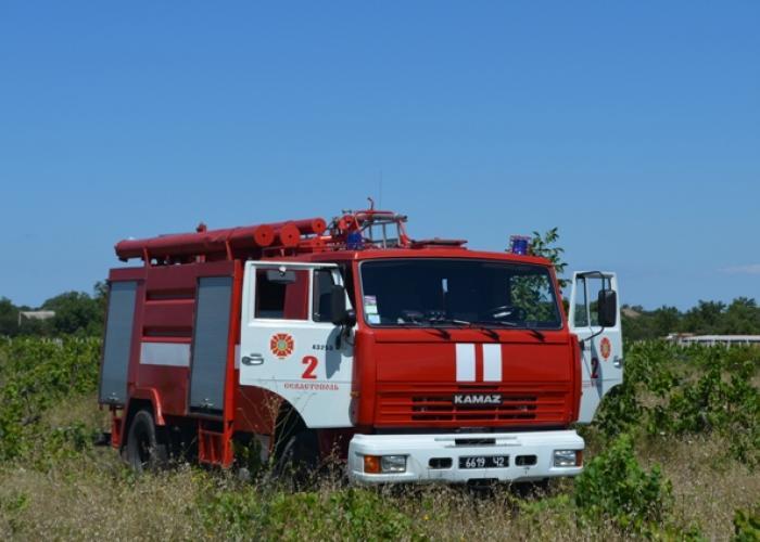 У Криму згоріло два гектари виноградників