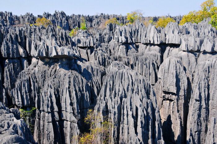 Каменный лес Мадагаскара - острый, как бритва