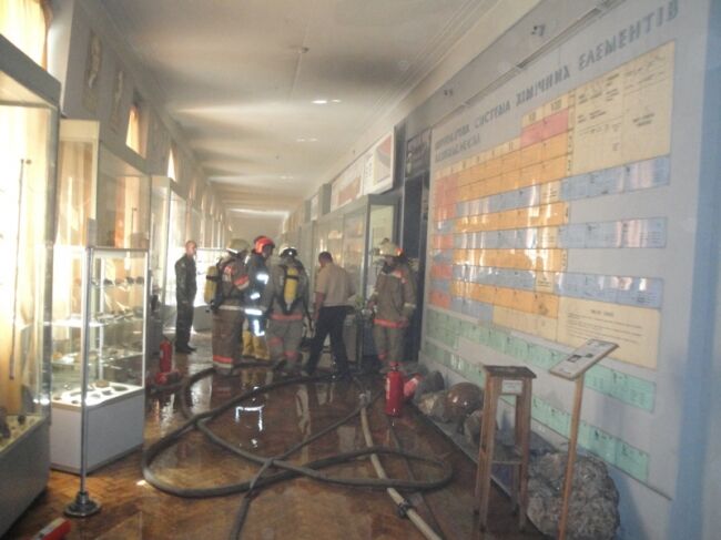 При пожаре в киевском музее погибли 30 животных 