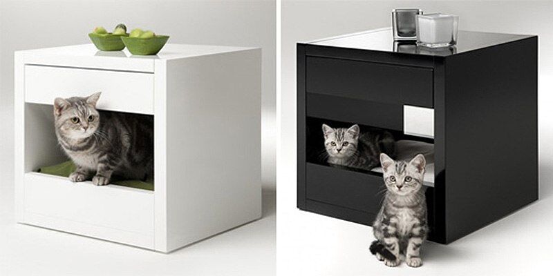 Котячий будинок: дизайн для вашого улюбленця