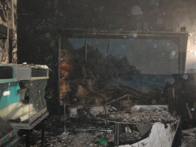 При пожаре в киевском музее погибли 30 животных 