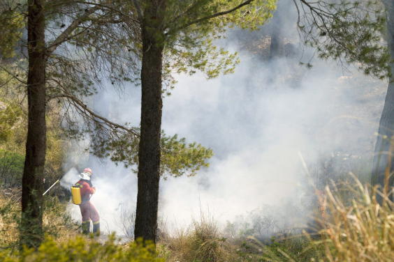 На Майорке бушуют лесные пожары: более 700 человек эвакуировано