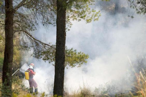 На Майорці вирують лісові пожежі: більше 700 чоловік евакуйовано