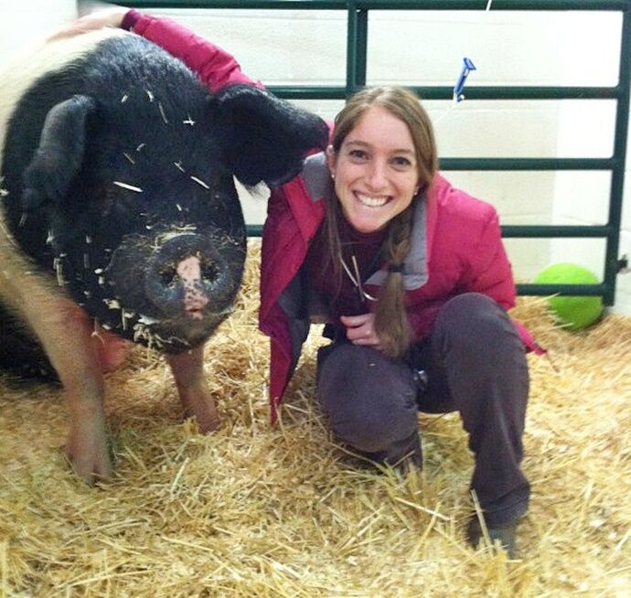 Американскому фермеру удалось спасти от рака любимую свинью