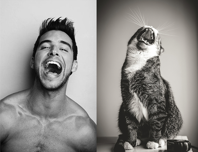 Мужчины против котов: кто круче?