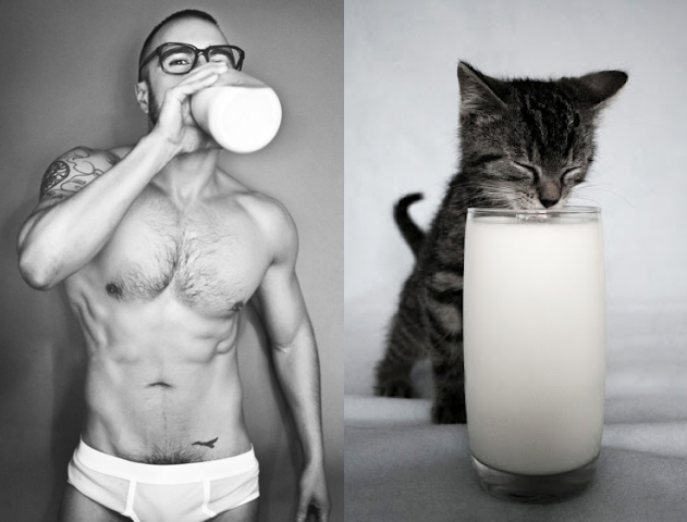 Чоловіки проти котів: хто крутіший?