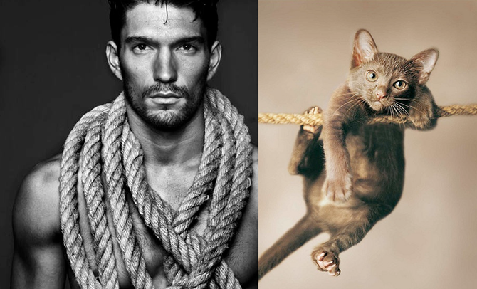 Чоловіки проти котів: хто крутіший?