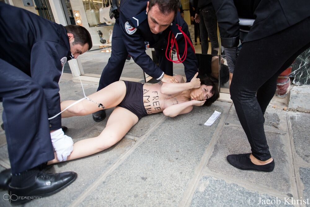 FEMEN пришли к Олланду в бюстгальтерах из колючей проволоки