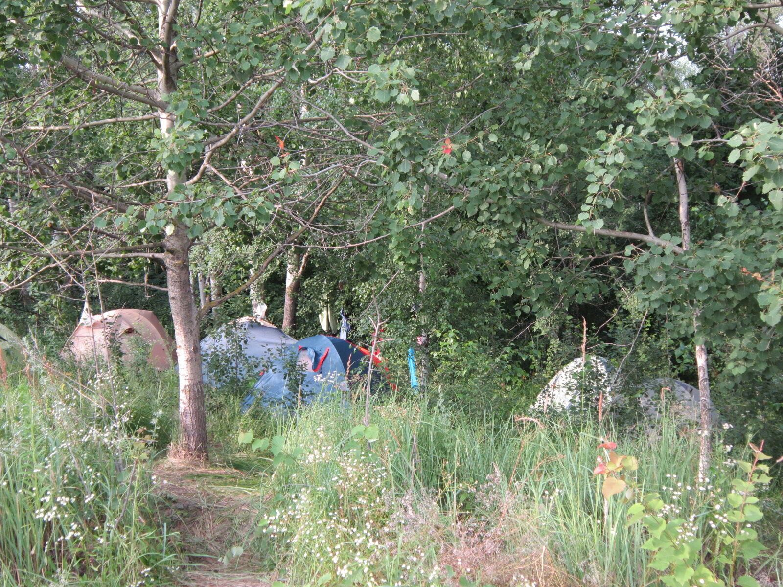 "Трипільське коло-2013": сонце, повітря і вода