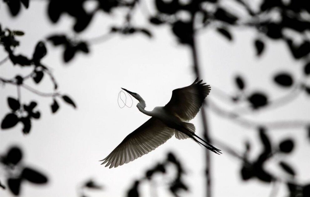 У світі тварин - 05.07.2013