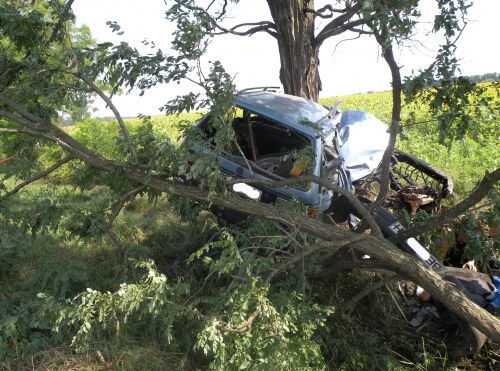 В жутком ДТП на Николаевщине погибли шестеро