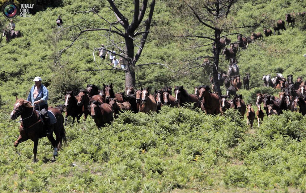 Тиждень у фотографіях. Липень 2013