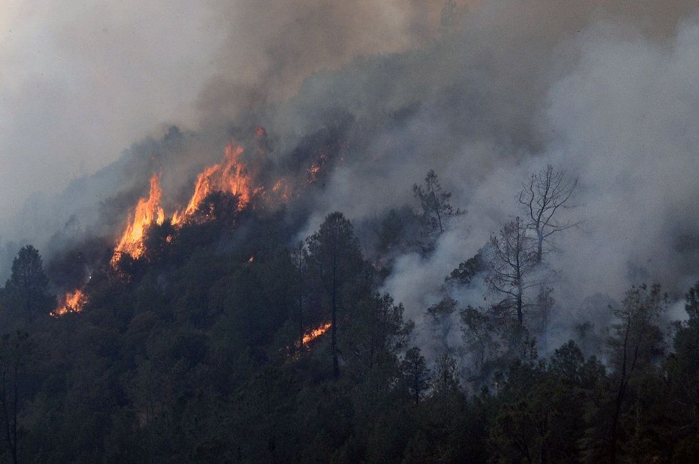 В Айдахо вирують лісові пожежі: більше 2 тисяч осіб евакуювали