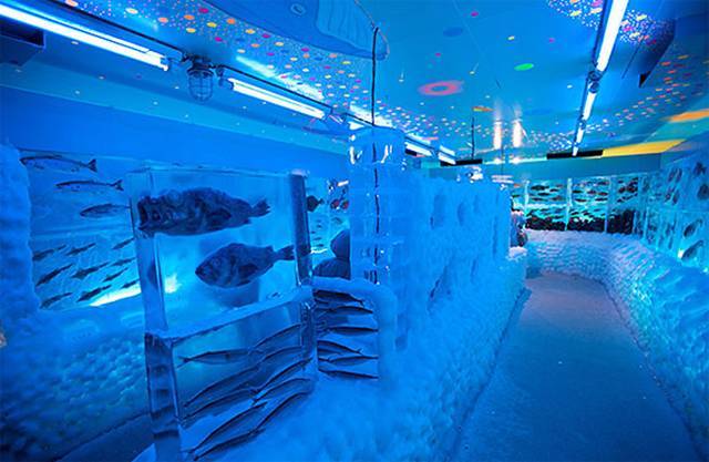 Туристов приглашают в единственный в мире ледяной аквариум