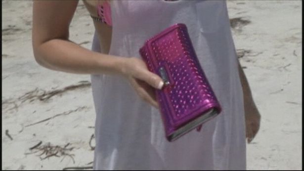 Єнот вкрав у відвідувачки пляжу рожевий клатч