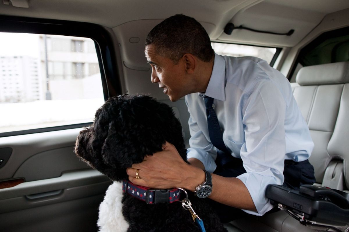 Нову собаку Обами вже полюбив Інтернет