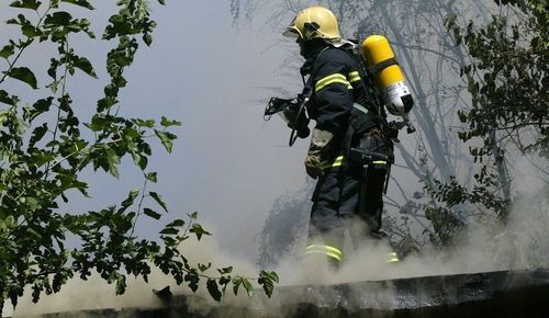 Лесные пожары бушуют вблизи болгарской столицы