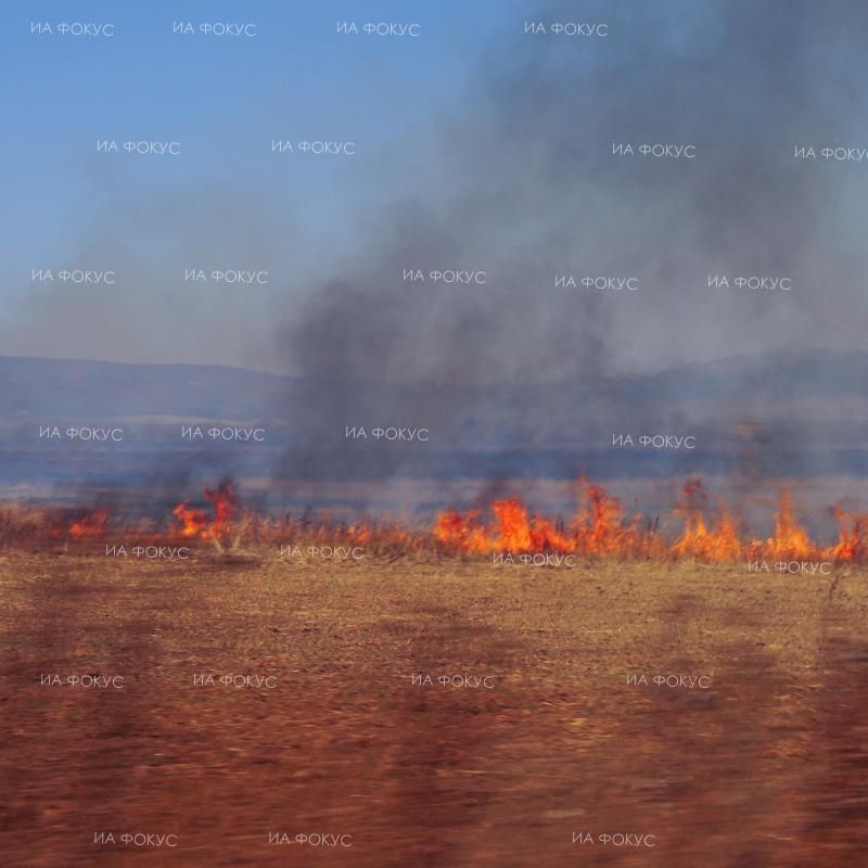 Лісові пожежі вирують поблизу болгарської столиці