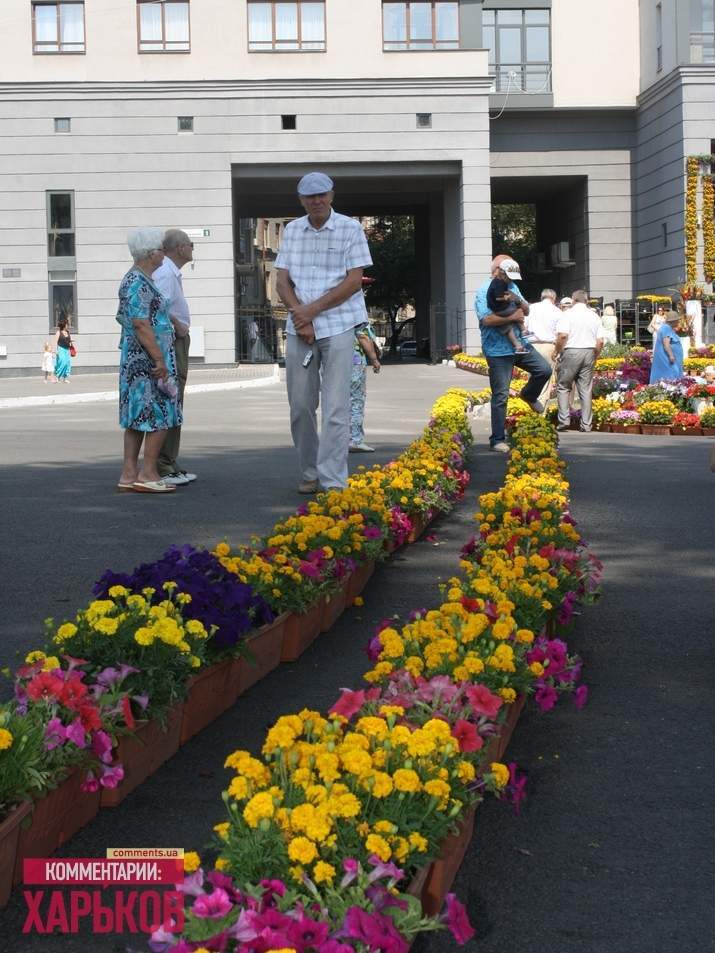  У Харкові створена найдовша в світі композиція з живих квітів