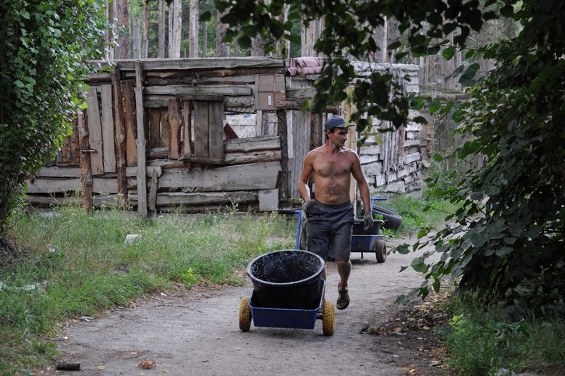 Приют для бездомных животных в селе Толокунь