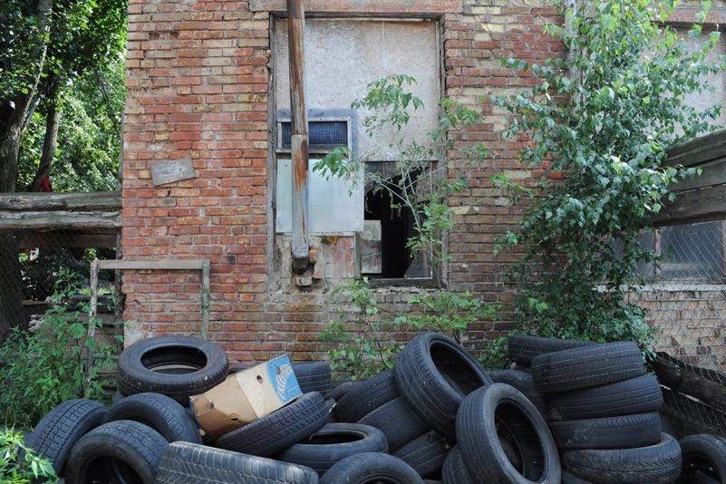 Приют для бездомных животных в селе Толокунь