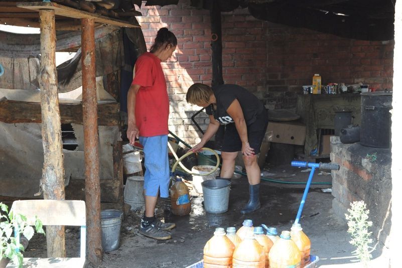 Притулок для бездомних тварин у селі Толокунь