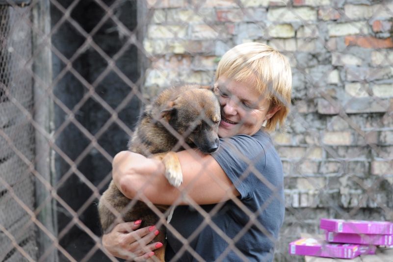Приют для бездомных животных в селе Толокунь