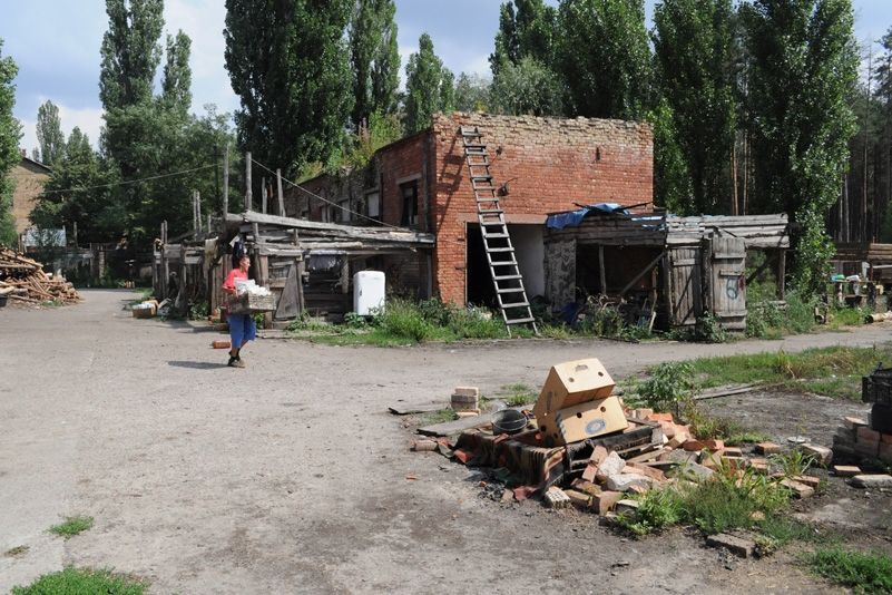 Приют для бездомных животных в селе Толокунь