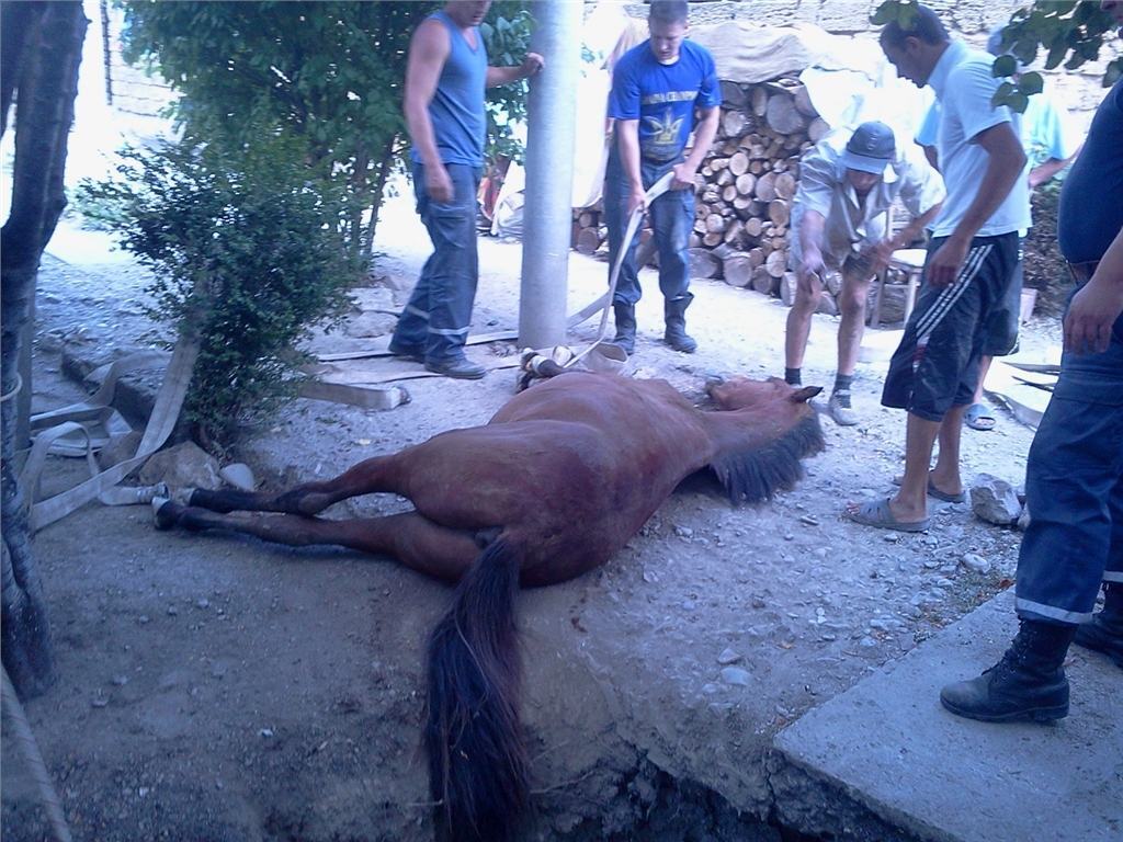 В Крыму спасатели вытянули коня со дна колодца