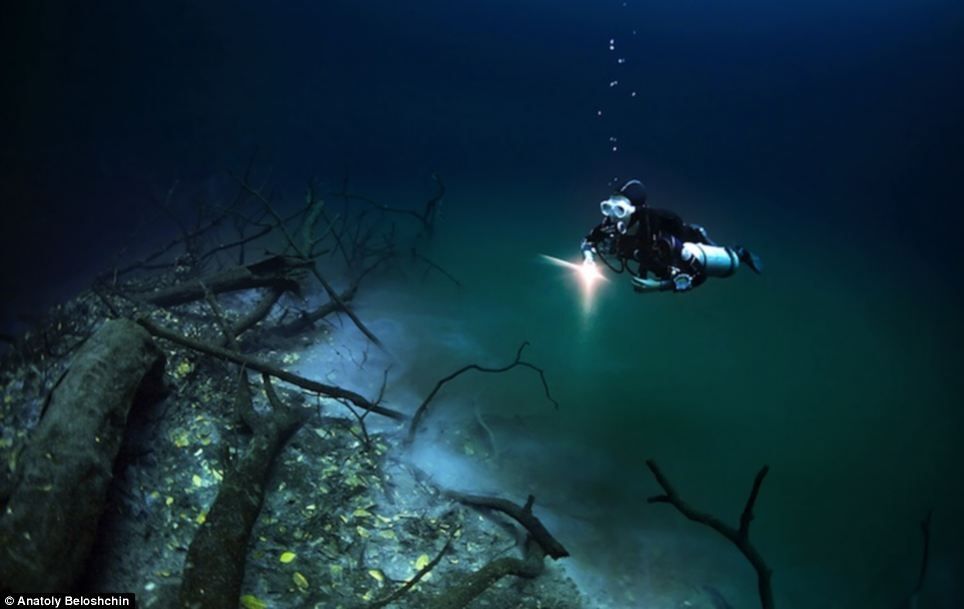 Дайверы сделали поразительные снимки реки на дне моря