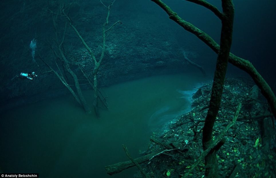 Дайверы сделали поразительные снимки реки на дне моря