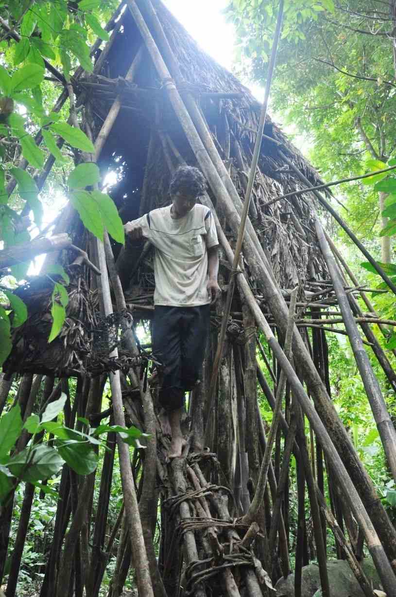 Во вьетнамских джунглях нашлись люди, пропавшие 40 лет назад