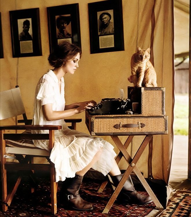 ТОП-16 звездных фотосетов с котиками