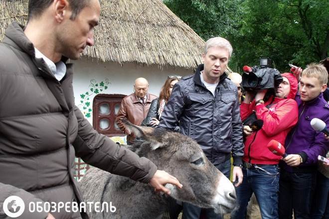 Светлаков с ослами спешит на помощь "Ишаку"