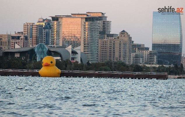 Знаменита гумова качка "припливла" в Баку