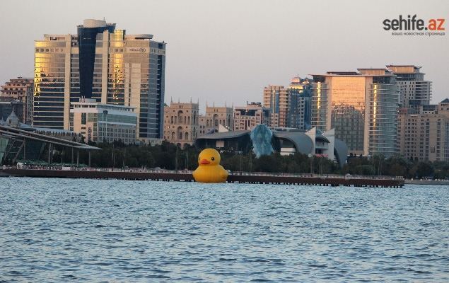 Знаменитая резиновая утка "приплыла" в Баку
