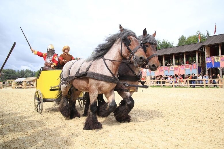 Зов героев в "Киевской Руси": сражались рыцари и барышни сражались