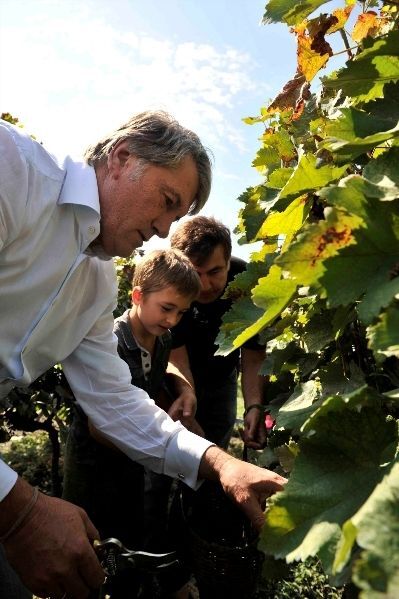 Ющенко допомагав Саакашвілі ногами тиснути виноград