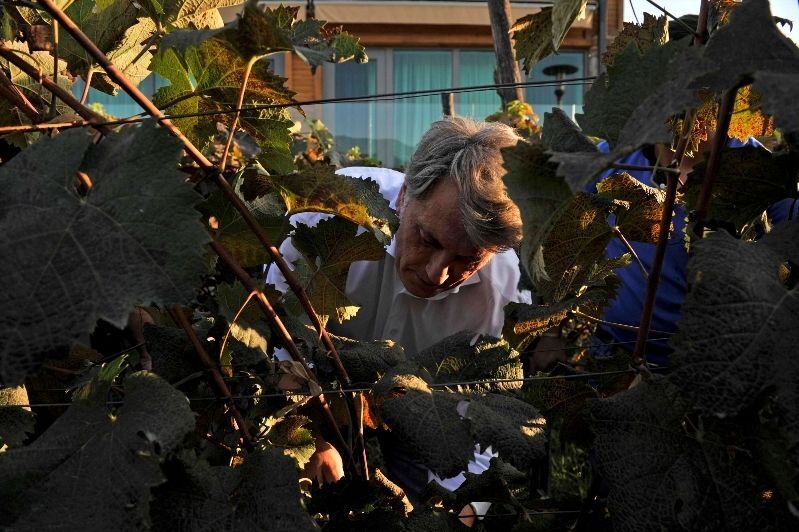 Ющенко допомагав Саакашвілі ногами тиснути виноград