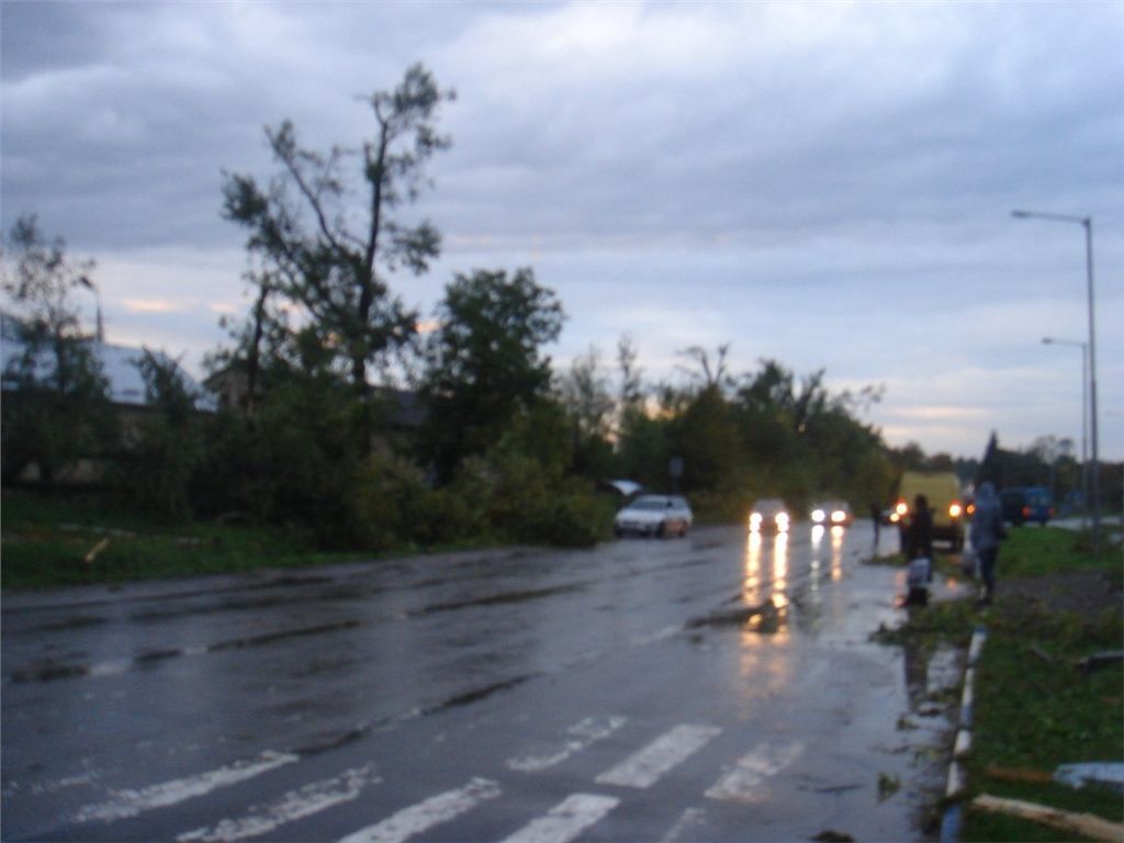 Львівщину атакував потужний ураган