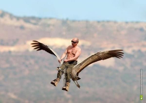 У Путина считают часть фотожаб удачными