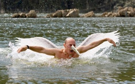 У Путина считают часть фотожаб удачными
