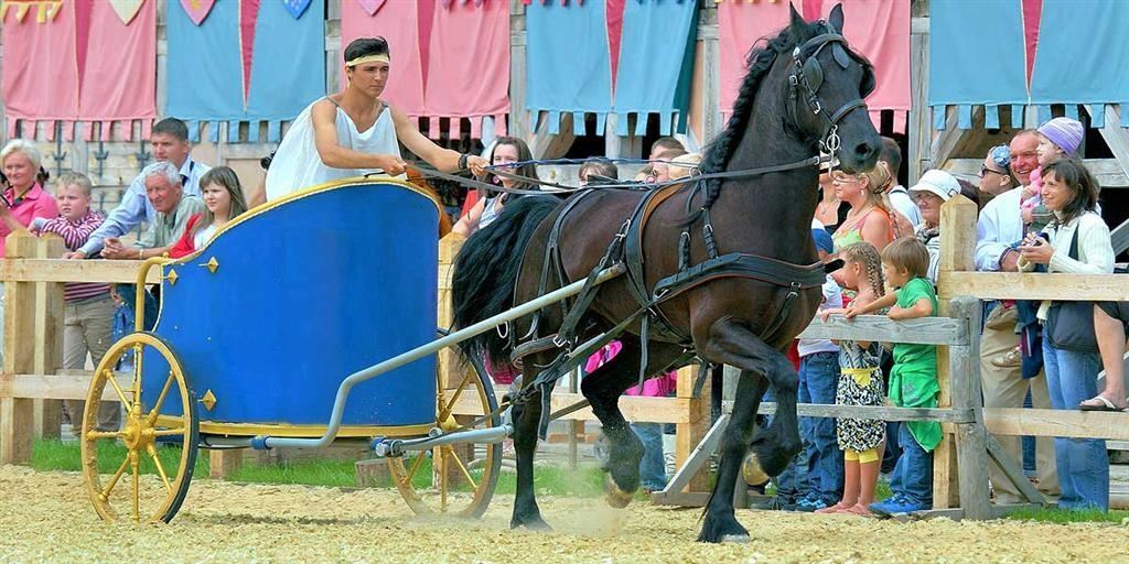 У Стародавньому Києві покажуть племінних коней: ви ще тут?