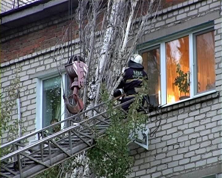 В Луганске на пятиэтажку упало 18-метровое дерево