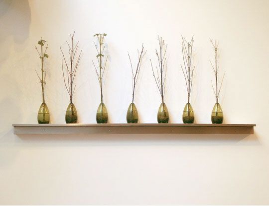 Как засушить цветы и листья для зимнего букета