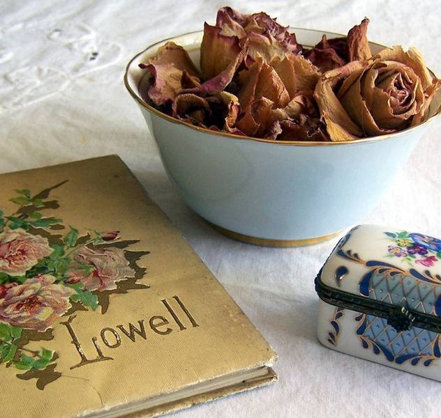 Как засушить цветы и листья для зимнего букета